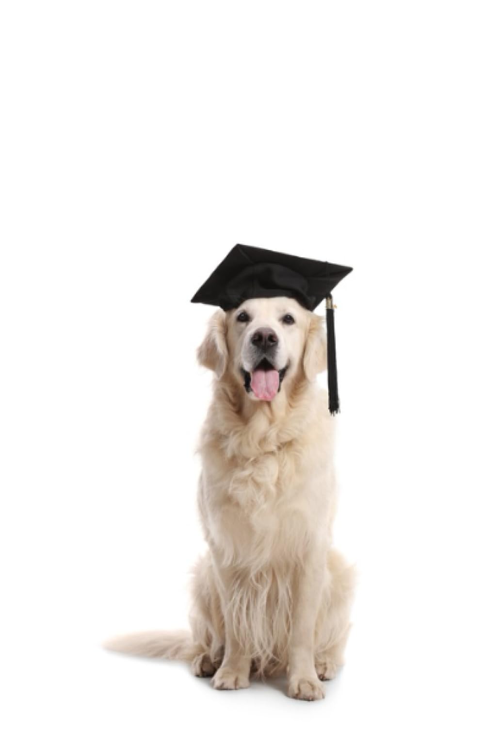 Graduation Notbebook: Class of 2023