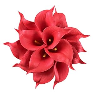 Wuudi Rote Calla-Lilien Brautstrauß, 20 Stück