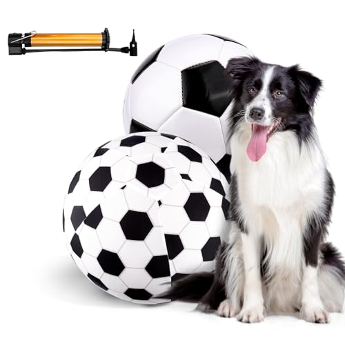 10 Best Toys For Herding Dogs