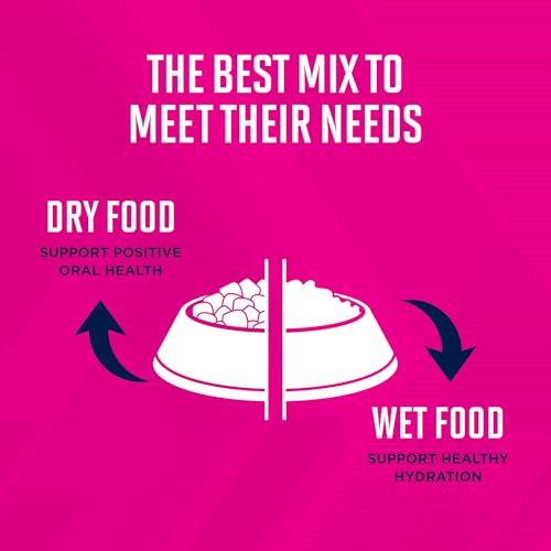 Eukanuba Senior Small Breed Dry Dog Food, 15 lb Bag - Image 6