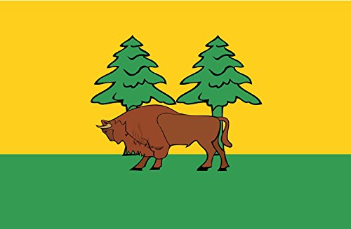 Drapeau powiat hajnowski pavillon pologne grand format tissu résistant - 2