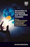 Innovation in Developing and Transition Countries (New Horizons in Regional Science series)