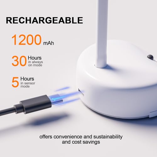 Luzes de imagem para parede, iluminação de arte operada por bateria para pinturas, luz de parede rec