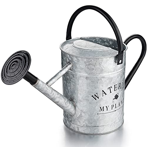 Garutom Galvanized Watering Can for Outdoor Indoor Plants, 1 Gallon Decorative Countryside Style Water Can with Removable Spout, Perfect Metal Watering Can for Indoor Plants and Garden Flower