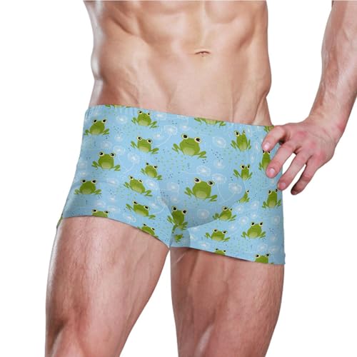 Cute Frog Mens Swim Trunk Swimwear Bathing Suit Swim Brief Square Leg Board Short S B04052273