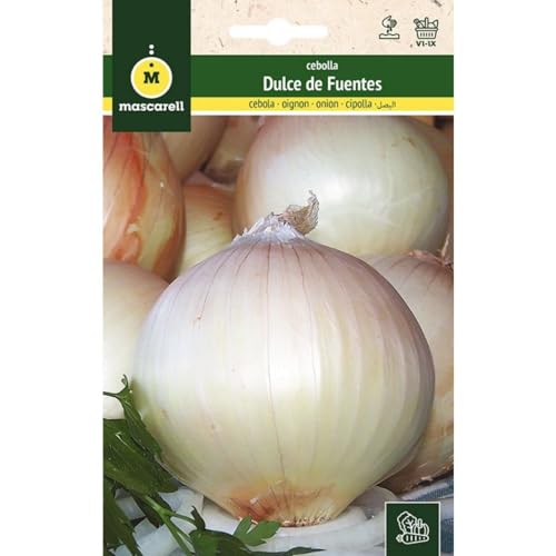 Mascarell Semillas, CEBOLLA, Semillas Huerto, CEBOLLA DULCE DE FUENTES, Crea tu Propio Huerto Urbano y Cultivo en Casa, Plantas Hortícolas, 3 Gramos