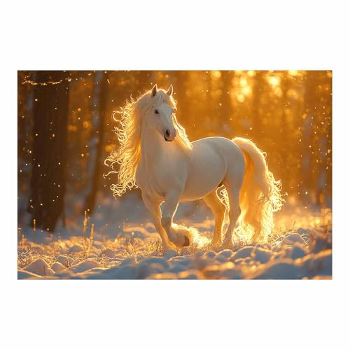 Poster Animaux Sauvages Cheval Blanc TERUEA - Toile Décoration Intérieur Salon 70x100 cm