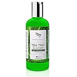Tea Tree Anti Dandruff Shampoo - Therapeutic Grade Antifungal Tea Tree Shampoo for Dry Itchy Flaky Scalp and Dandruff Hair for Men & Women, 250ml