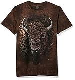 The Mountain Men's Lightning Rex T-Shirt