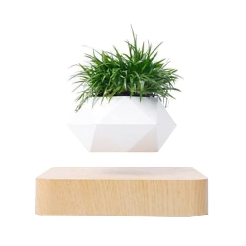 MagneticLand Mini-Jardin en lévitation HEXAFLY sur Base Bois Clair BABYLONIA