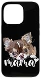 chihuahua pelo largo mini Regalo de chihuahua para mujeres, mamá, madre, niña, mamá, madre de perro, madre chihuahua, niña chihuahua, madre chihuahua, madre chiwawa, niña chiwawa y amante de pelo largo chihuahua.