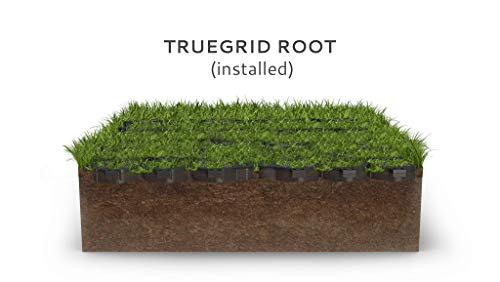Image of TRUEGRID | Root Grass Pavers | Designed as Outdoor Pavers for the Patio, Driveway, Walkways, Shed Bases, DIY Projects | 120,000 lb Load Class | Pack of 18 (72 Sq. Ft.)