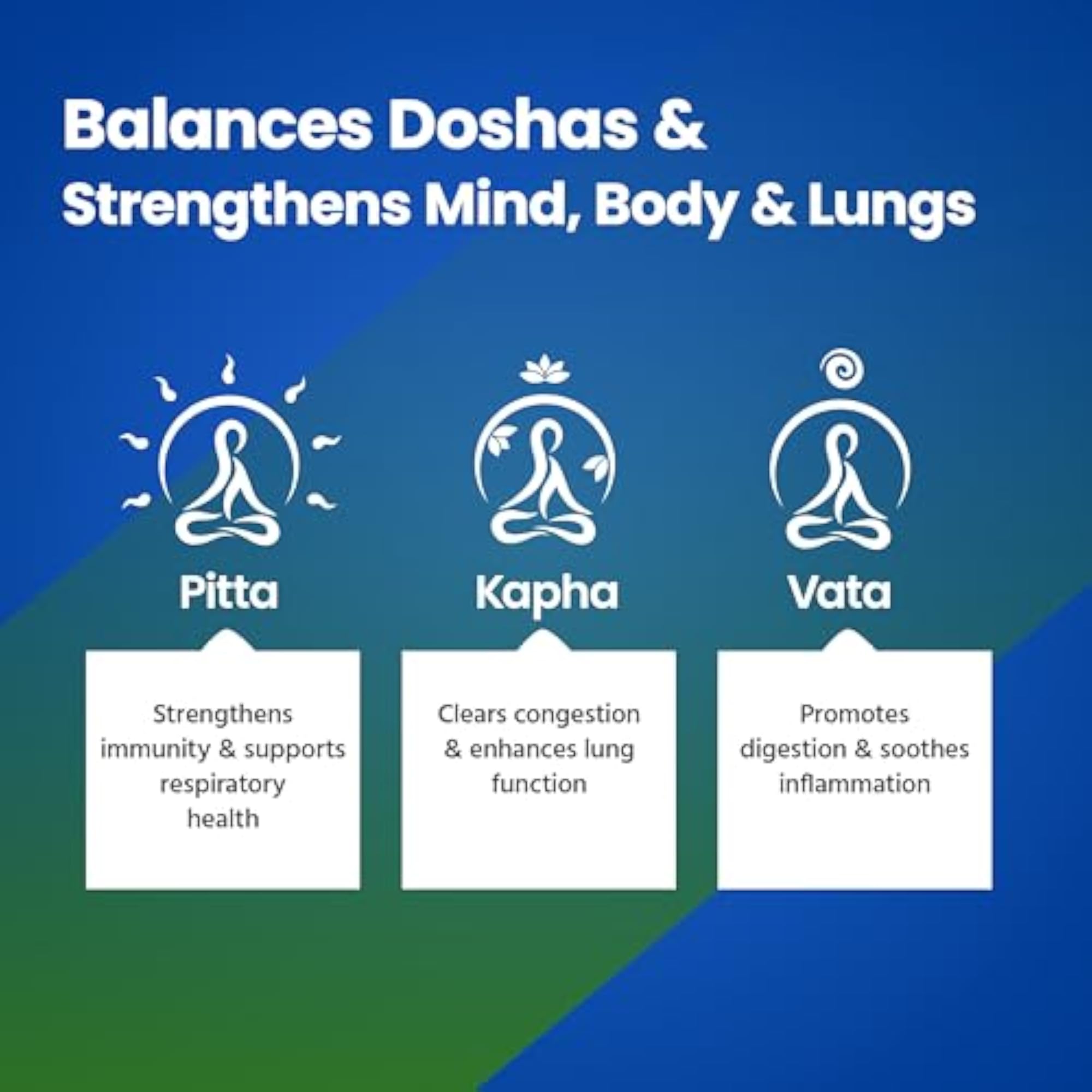 Everyday Tulsi Drops with 5 Rare Extracts, Natural Detoxifier