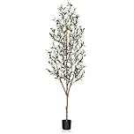 Kazeila Artificial Olive Tree 6FT Tall Faux Silk Plant for Home Office Decor Indoor Fake Potted Tree with Wood Branches and Fruits
