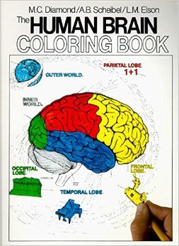 The Human Brain Coloring Book (Cos, 306) by Marian C. Diamond Arnold B. Scheibel 1 Csm edition (Textbook ONLY, Paperback)