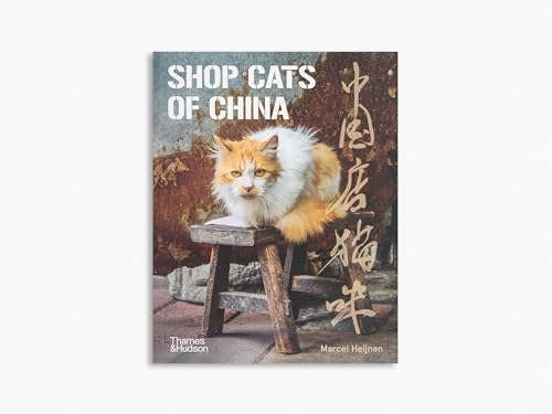 City Cats of Istanbul