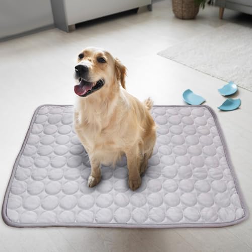 Generisch Kühlmatte Hund und Katze, 50 x 40 cm Kühlmatte für Hunde und Katze Somme, Sommer Kühldecke Hundekühlmatte, Pet Ice Pad für Zuhause Unterwegs, Abrieb- und Bissfest Natürliche Kühlung (Grau)