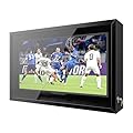 Yardenaler 43IN Clear Outdoor TV Enclosure, Iron Weatherproof Outdoor TV Cover, Suitable for 32-43 Inch with Adjustable Dual-Arm Wall Mount, (Right Door), Black