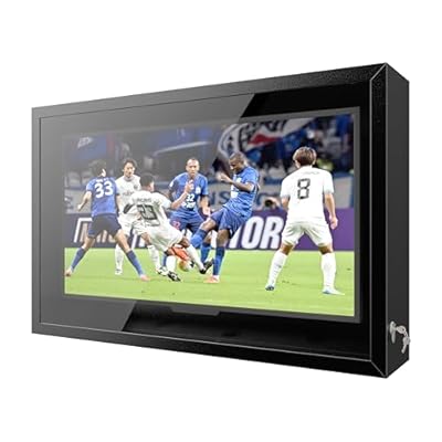 Yardenaler 43IN Clear Outdoor TV Enclosure, Iron Weatherproof Outdoor TV Cover, Suitable for 32-43 Inch with Adjustable Dual-Arm Wall Mount, (Right Door), Black