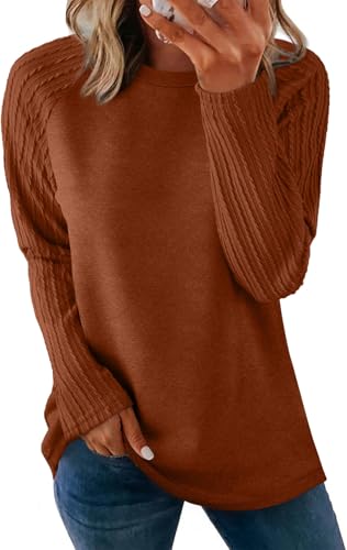 Image of OFEEFAN Long Sleeve Shirts for Womens Fall Fashion 2026 Crewneck Oversized Sweatshirt Tunic Tops to Wear with Leggings