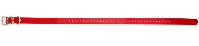 Foto 4 de 6 de Educator Collar Biothane, 2,5 cm, Color Rojo