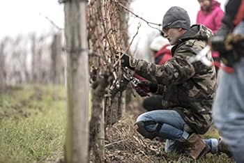 Paperback Simonit & Sirch's Guyot Methodology Book