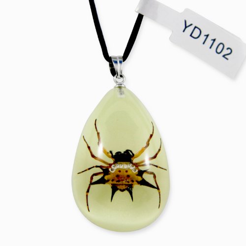 Ed Speldy Oriente YD1102 Collar espinosa Bug real de la ara-a