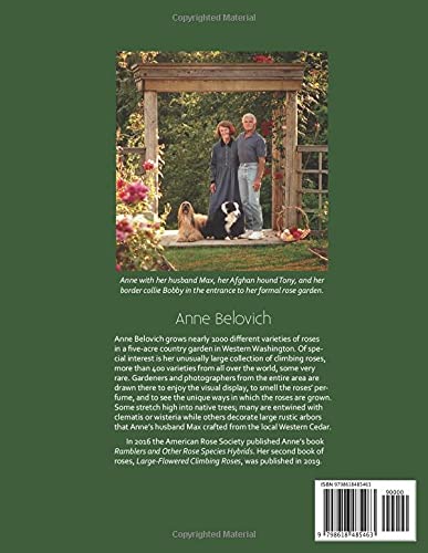 Gallica Roses - Image 2