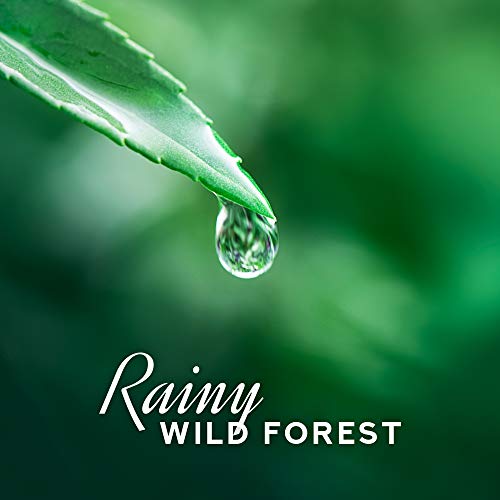 Chilling Spa Universe