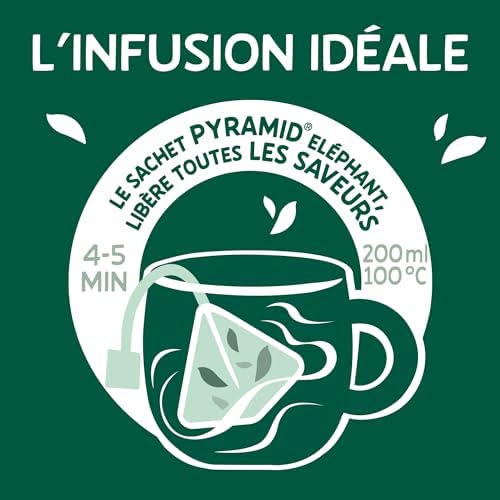 Infusion Mangue Passion Curcuma Elephant La Boite De 20 Sachets - vue 5