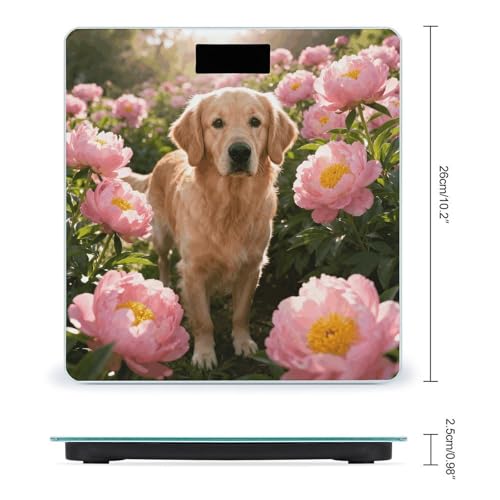 Báscula Digital Golden Retriever & Daisy para Peso Corporal miniatura 2
