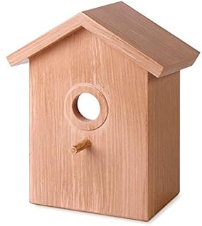 See Through One Way Mirrored Bird House - Suction Cup Window Mounted Bird Nesting Box