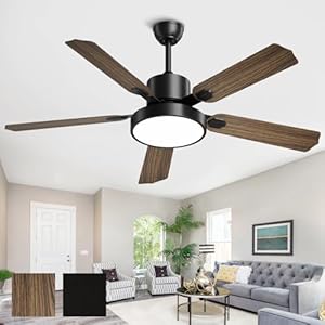 BECLOG Ceiling Fans with Lights and Remote, 52 Inch Outdoor Modern Black Fan for Patio Farmhouse Bedroom