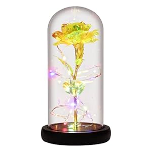 Rose Flower Birthday Gifts for Mom from Daughter,Colorful Yellow Flower Rose Gift for Women,Light Up Rose Flower in Glass Dome,Gifts For Women Valentines Day/Christmas/Mothers Day/Anniversary (Yellow)