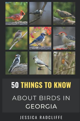 50 Things to Know About Birds in Georgia: Birding in the Peach State (50 Things to Know About Birds- United States)