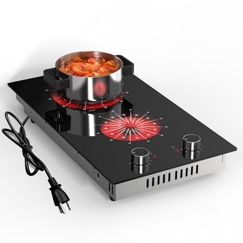 Disaenvir 2 Burner Electric Cooktop 12 Inch Electric Stove Top Built