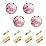 Matériaux : notre bouton de placard est fabriqué en alliage de zinc, structure robuste, ne rouille pas, plaque acrylique lisse et brillante, peut mieux afficher des motifs exquis.