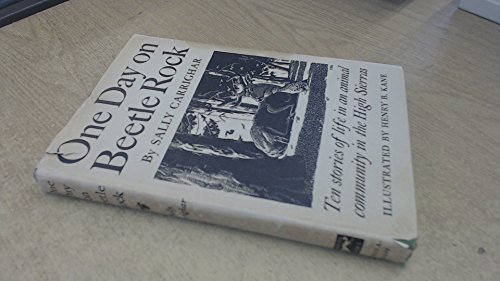 One Day on Beetle Rock: The Stories of Life in ... B000GS0B8M Book Cover