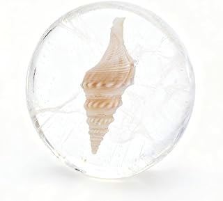 pH-Balanced Amino Acid Cleansing Soap with Oc...