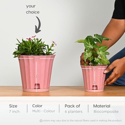 Image of Eha Earth Friendly Ace 7 inch Small Self Watering Pots for Indoor Plants | Set of 6 | Plant Pot Made with Bamboo Fibers | Table Top Planters for Home Decor, Flower Pot for Living Room | Multicolor
