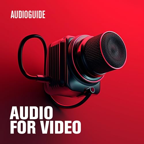 Audioguide: Audio for Video