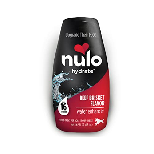 Nulo Hydrate for Dogs Water Flavoring, Beef Brisket Flavor, Pack of 12 - Tasty Dog Water Enhancer with Electrolytes, Amino Acids, B-Vitamins - Premium Water Supplement for Dogs (192 Servings)