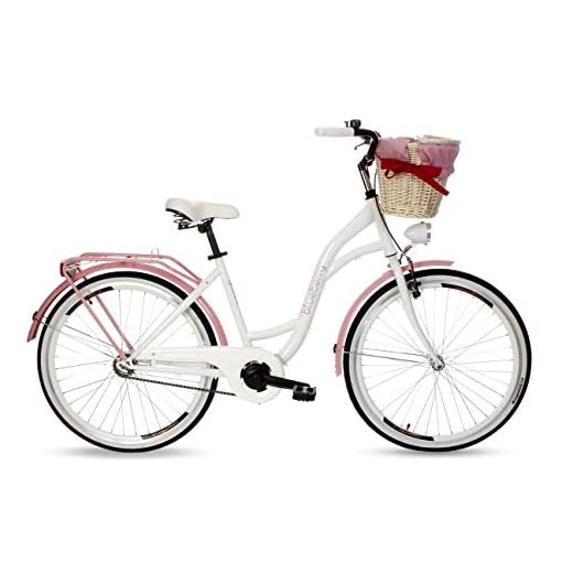 Goetze Blueberry Vintage Retro Citybike damcykel Hollandcykel, 1 växel utan strömbrytare, djupstigare, returbroms, 26 tums aluminiumhjul, korg med gratis täckning!