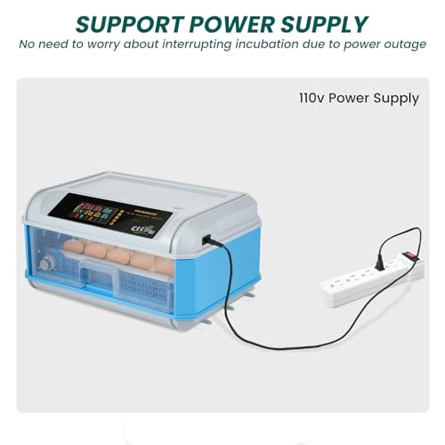 CEED4U incubadoras para incubação de ovos, incubadora para 24 ovos com viragem automática de ovos, c