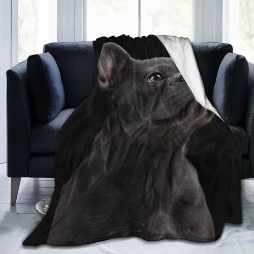 犬 柴犬 3 掛け布団 敷き毛布 フランネル 吸湿発熱 タオルケット肌触り 軽く柔らかい 静電気防止 ふわふわ 両面使え 四季通用 子供用 寝具 抗菌防臭エアコン毛布