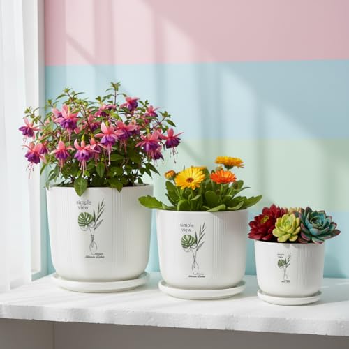 Image of Xtore Heritage Ceramic Planter Set with Drainage Trays | Pro-Decal Style Pots for Home & Balcony Decor - (Set of 3, White, Planter ONLY)