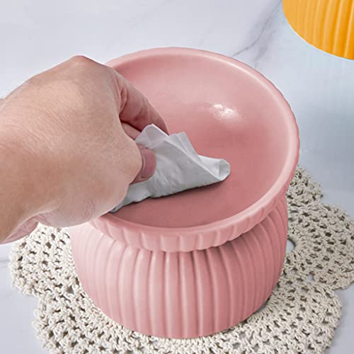 Gamelle surélevée en céramique pour chat et chiot avec son support stable