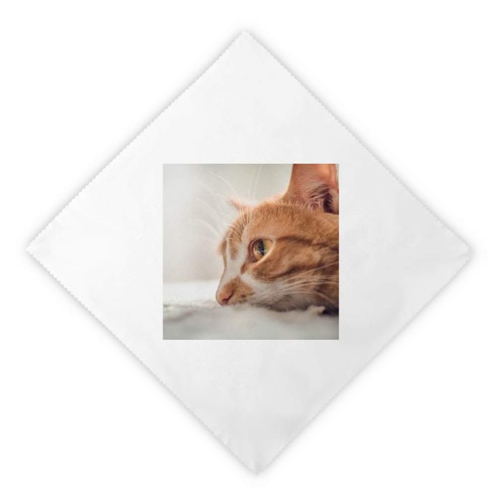 Serviettes en tissu chat blanc 2pcs de table pour dîner DIYthinker