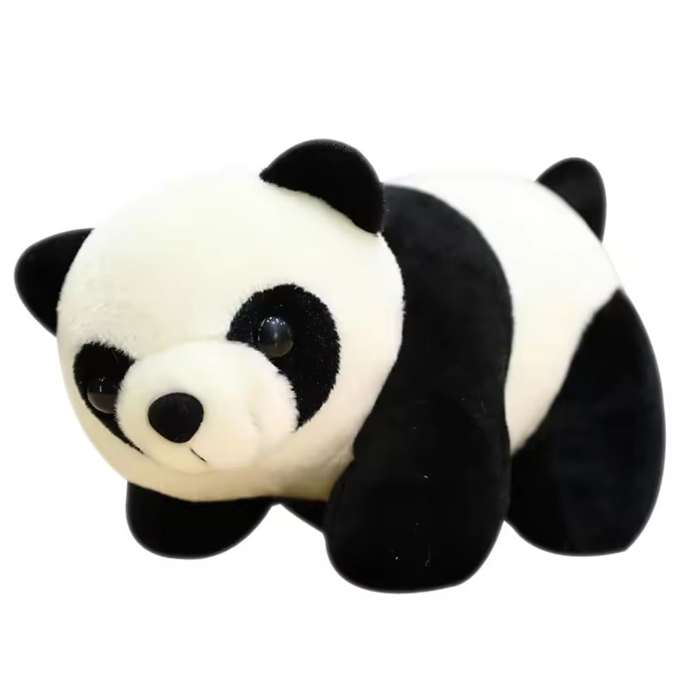 SCOOBA Cute Kung Fu Baby Panda Soft Toy, 30 cm, Black Pack of 1 (B0D76R36RT) Amazon Price History, Amazon Price Tracker