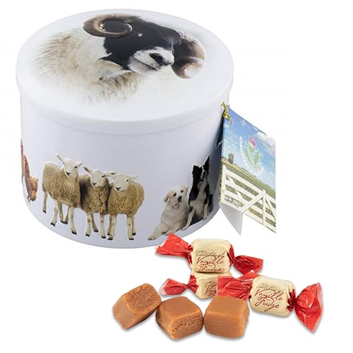 Gardiners of Scotland Handmade Fudge, Farm Animals Vanilla Fudge 7 Ounce Round Tin